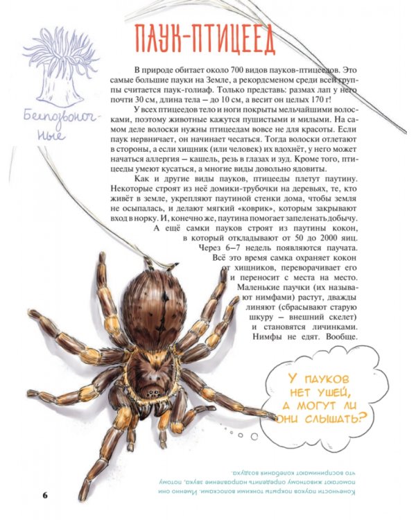 Мой любимый зоопарк