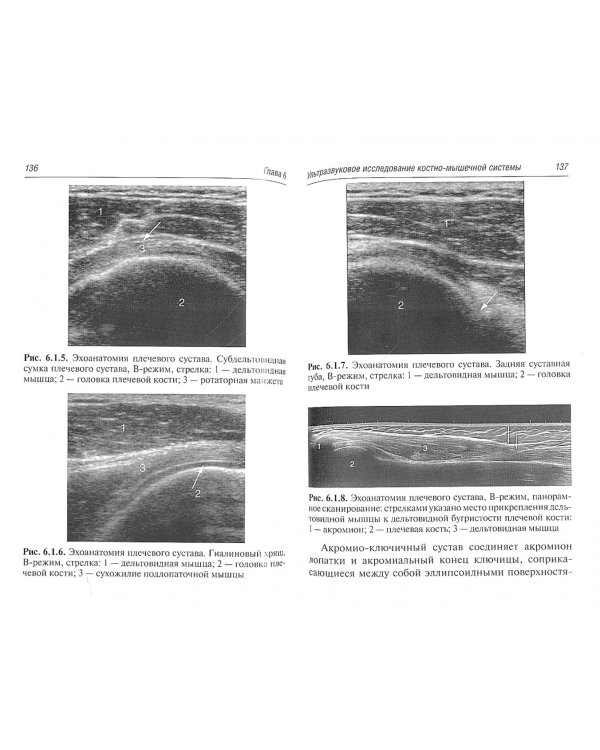 Ультразвуковая диагностика. Карманный атлас