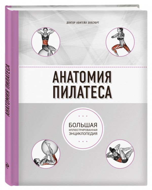 Анатомия пилатеса