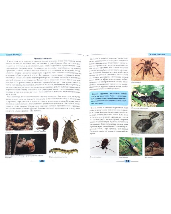 Живая природа