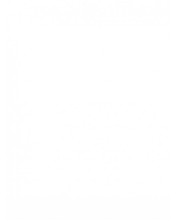 2+ Годовой курс развивающих занятий для малышей