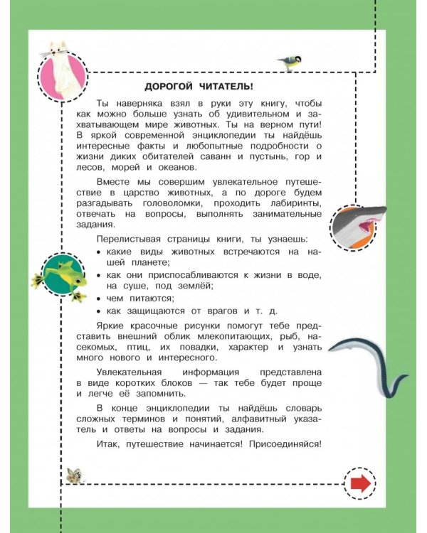 Дикие животные. Отправляйтесь в удивительный мир!