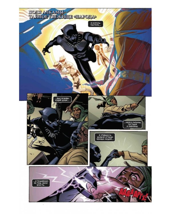 Чёрная Пантера. Народ под нашими ногами. Книга 2