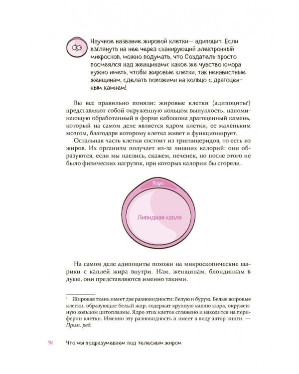 Целлюлит. Циничный оберег от главного врага женщин