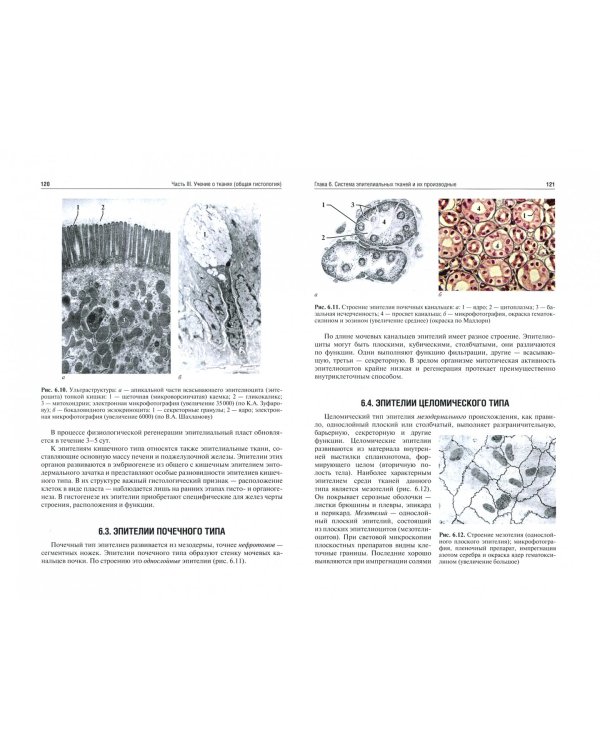 Гистология, эмбриология, цитология. Учебник