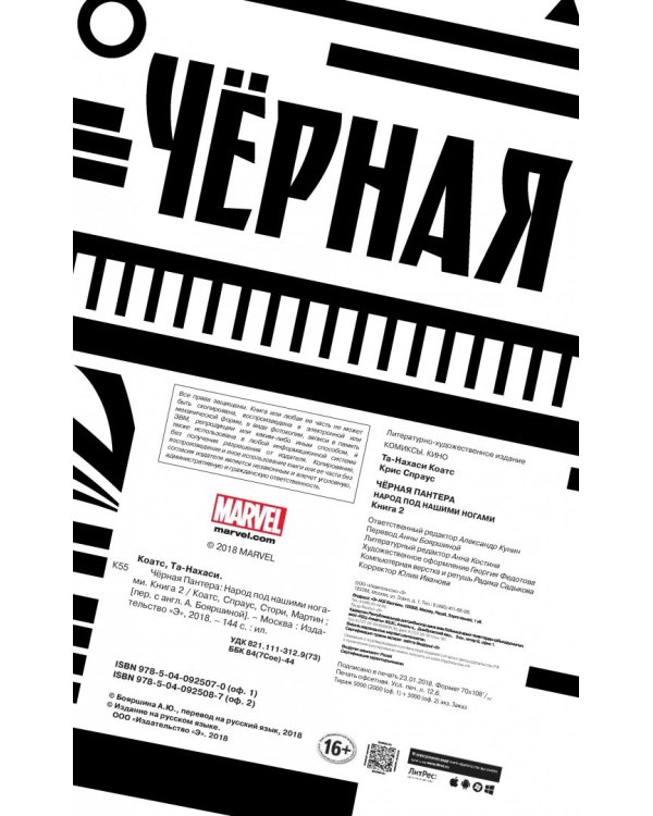 Чёрная Пантера. Народ под нашими ногами. Книга 2