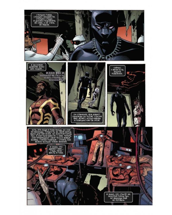 Чёрная Пантера. Народ под нашими ногами. Книга 2