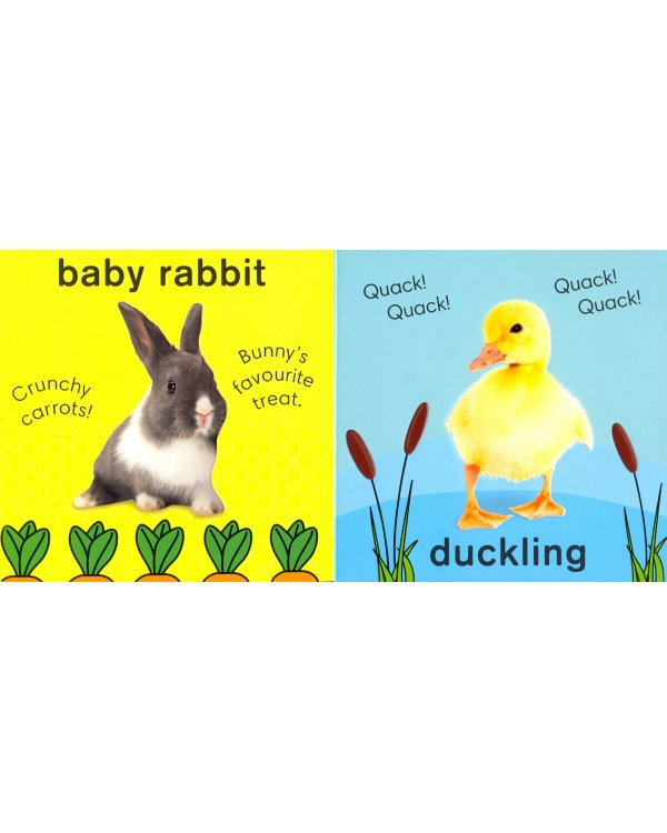 Baby Animals. Board book