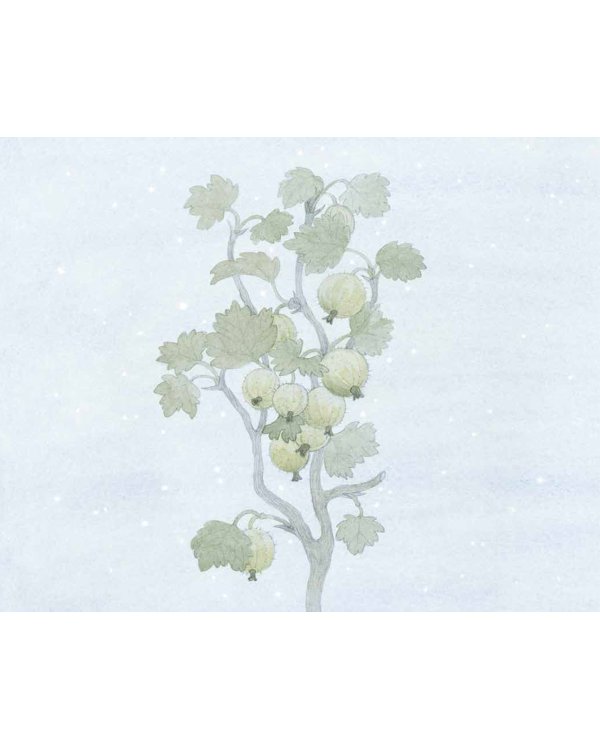 Тайна Хвоинки