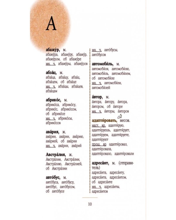 Орфографический словарь русского языка. Грамотные коты