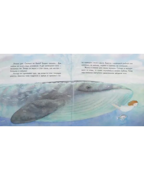 Маленький Кит