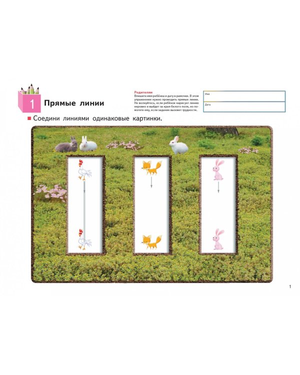 KUMON. Учимся и растём! Линии