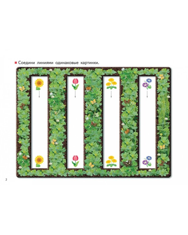 KUMON. Учимся и растём! Линии