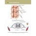 Анатомия человека. Атлас. В 3-х томах. Том 3. Неврология, эстезиология