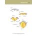 Анатомия человека. Атлас. В 3-х томах. Том 3. Неврология, эстезиология