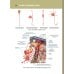 Анатомия человека. Атлас. В 3-х томах. Том 3. Неврология, эстезиология