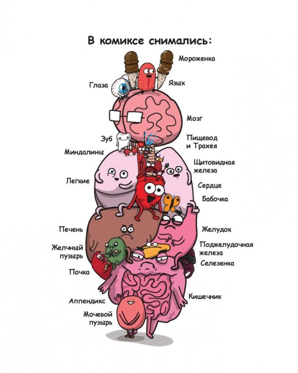Сердце, Мозг и Кишечник. Война без конечностей