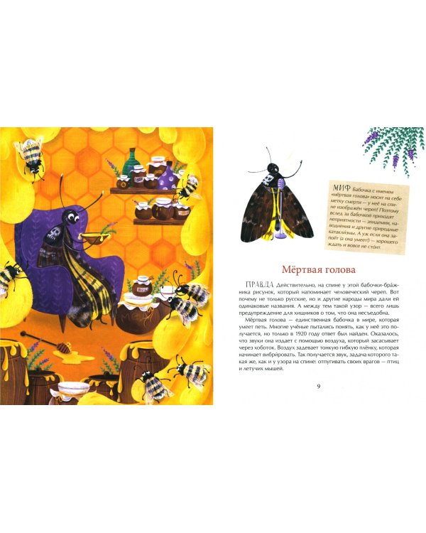 Страшный жук?Добрый жук!