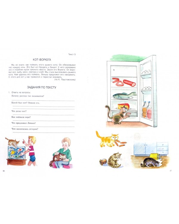 Рабочая тетрадь по развитию письменной речи у кохлеарно имплантированных обучающихся. 5 класс