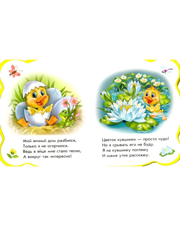 Все про утенка