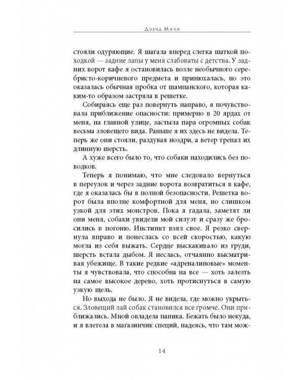 Кошка Далай-Ламы и секреты истинного счастья