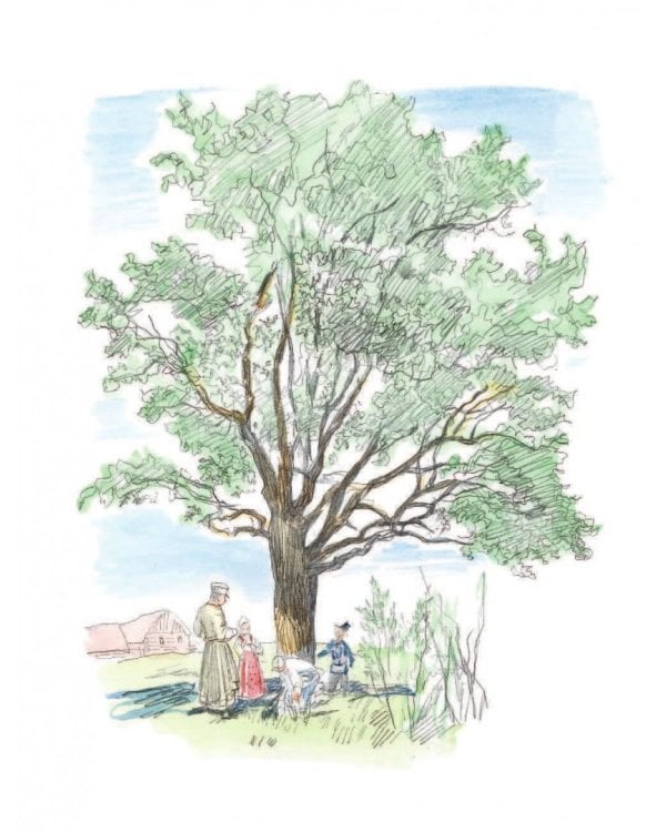 Три медведя. Сказки, басни, были