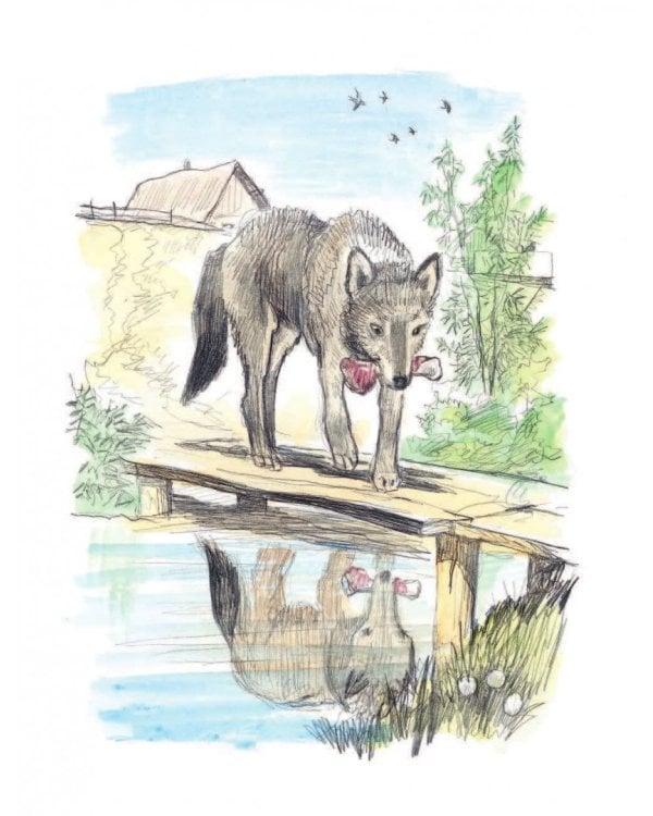 Три медведя. Сказки, басни, были