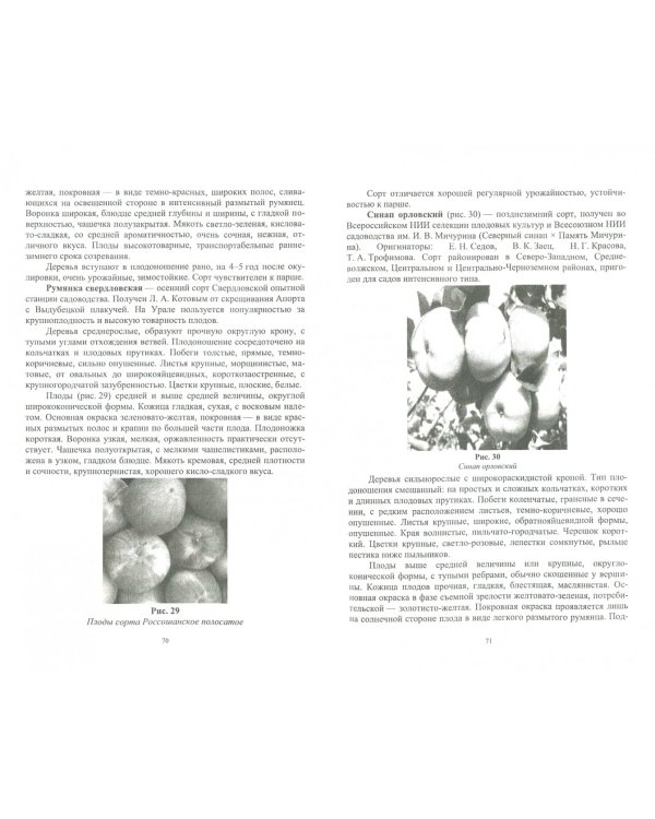 Частное плодоводство. Семечковые культуры