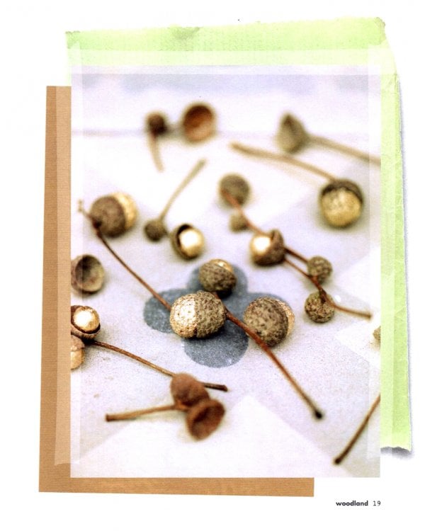 The Art of Living with Nature