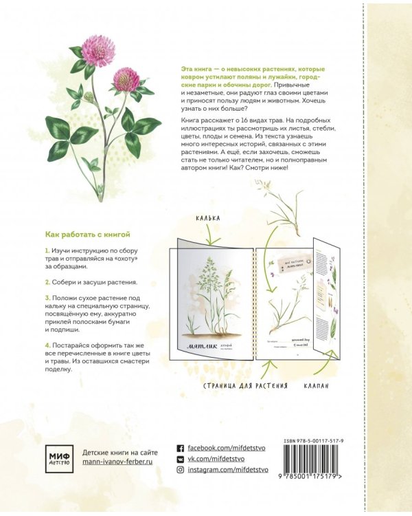 Мой гербарий. Цветы и травы