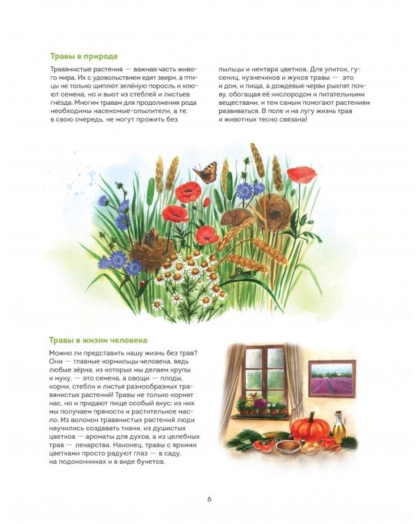 Мой гербарий. Цветы и травы