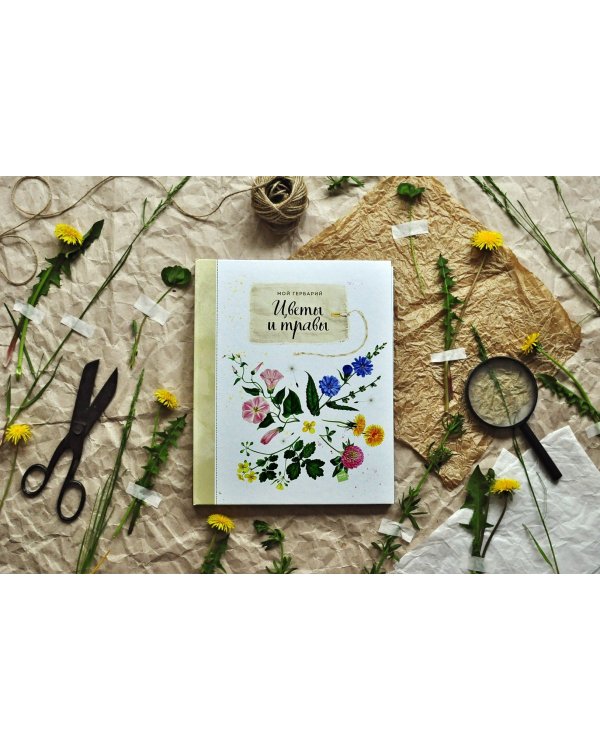 Мой гербарий. Цветы и травы