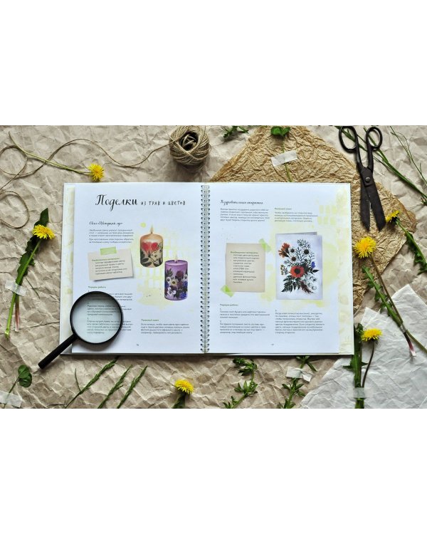 Мой гербарий. Цветы и травы