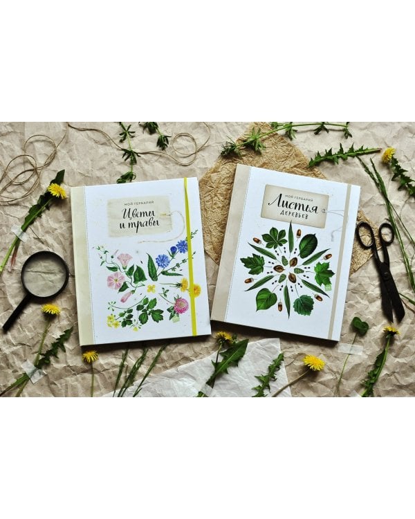 Мой гербарий. Цветы и травы