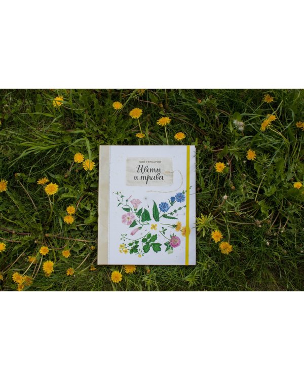 Мой гербарий. Цветы и травы