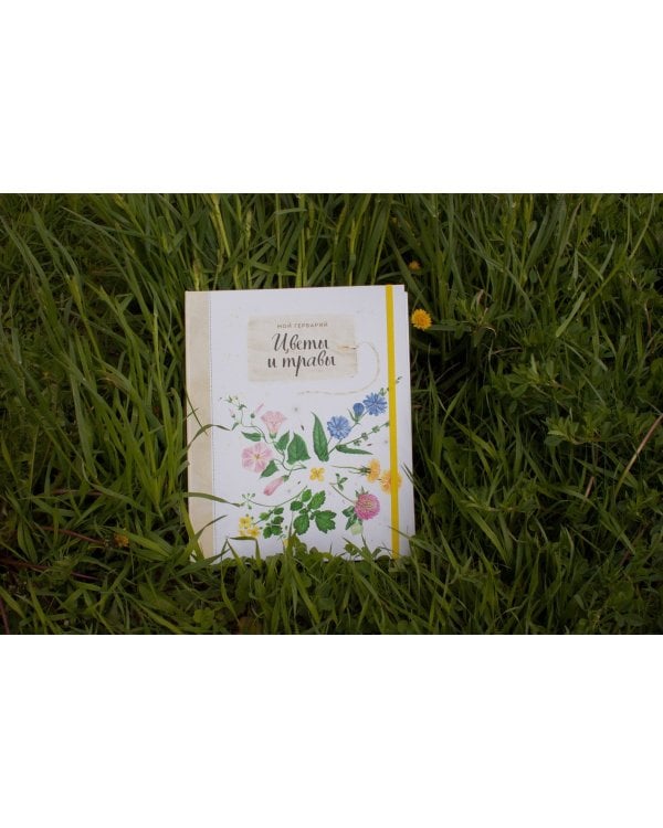 Мой гербарий. Цветы и травы