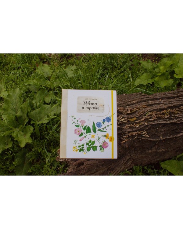 Мой гербарий. Цветы и травы