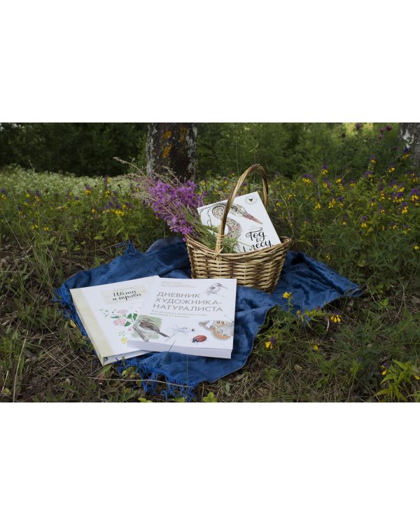 Мой гербарий. Цветы и травы