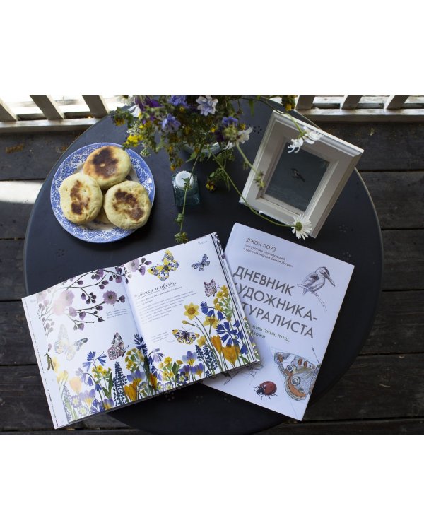 Мой гербарий. Цветы и травы