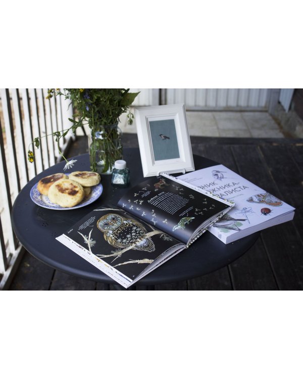 Мой гербарий. Цветы и травы