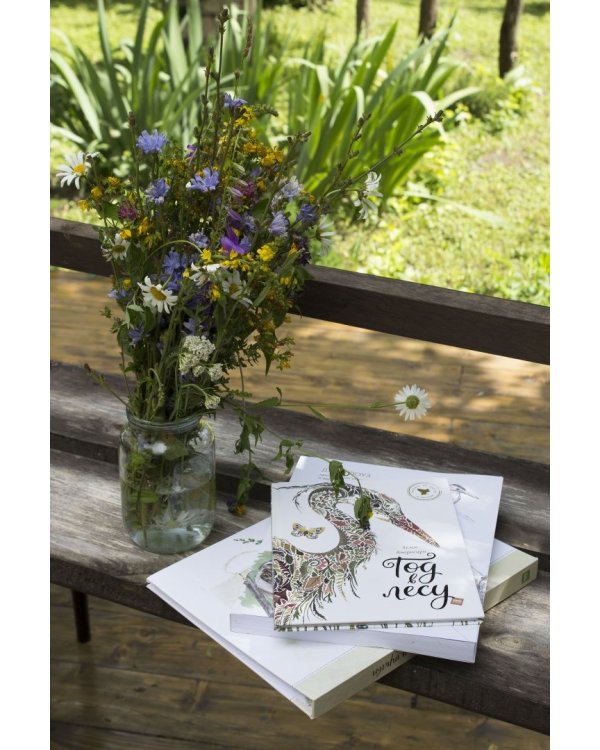 Мой гербарий. Цветы и травы