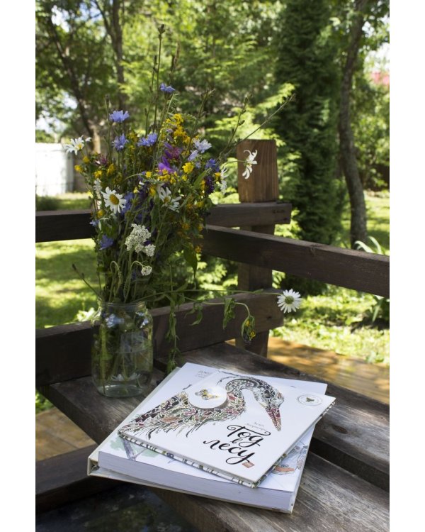 Мой гербарий. Цветы и травы