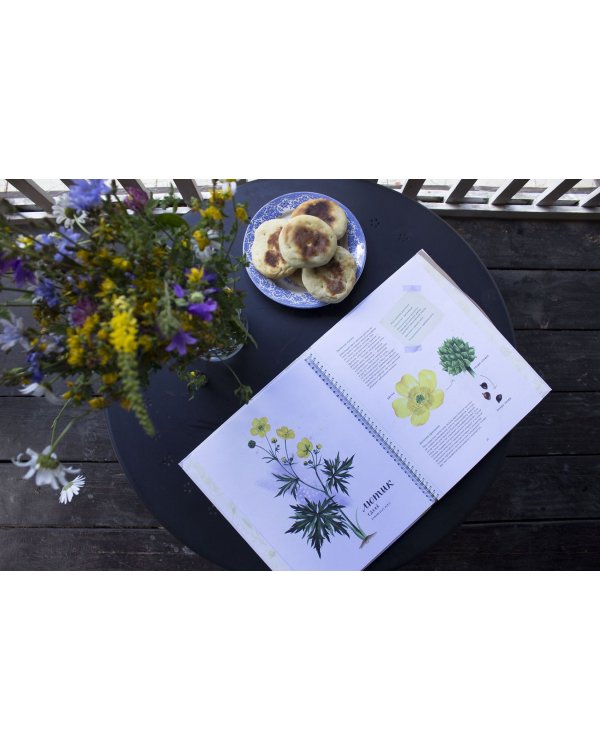 Мой гербарий. Цветы и травы