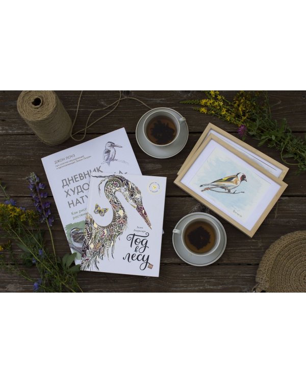 Мой гербарий. Цветы и травы