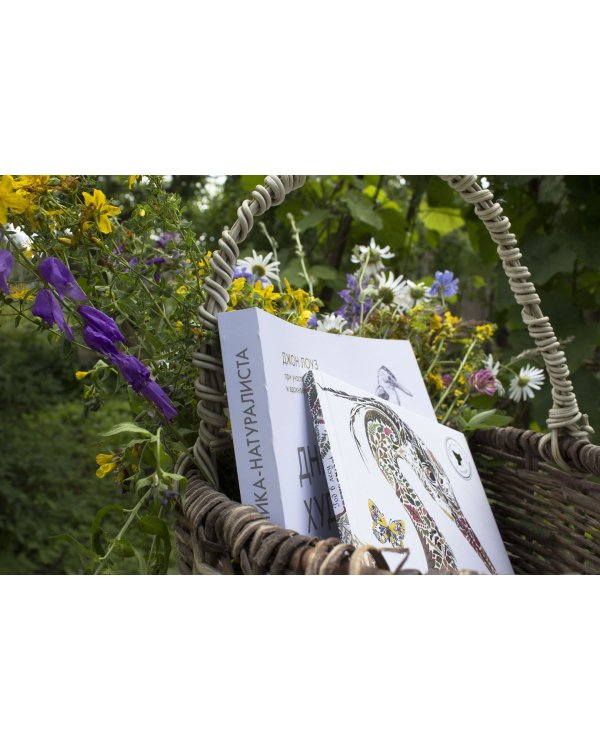 Мой гербарий. Цветы и травы