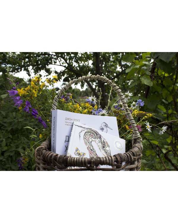 Мой гербарий. Цветы и травы