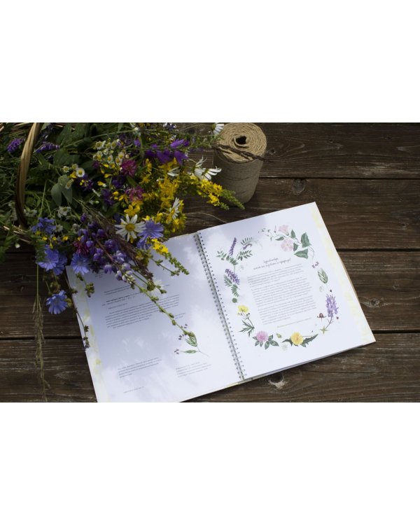 Мой гербарий. Цветы и травы