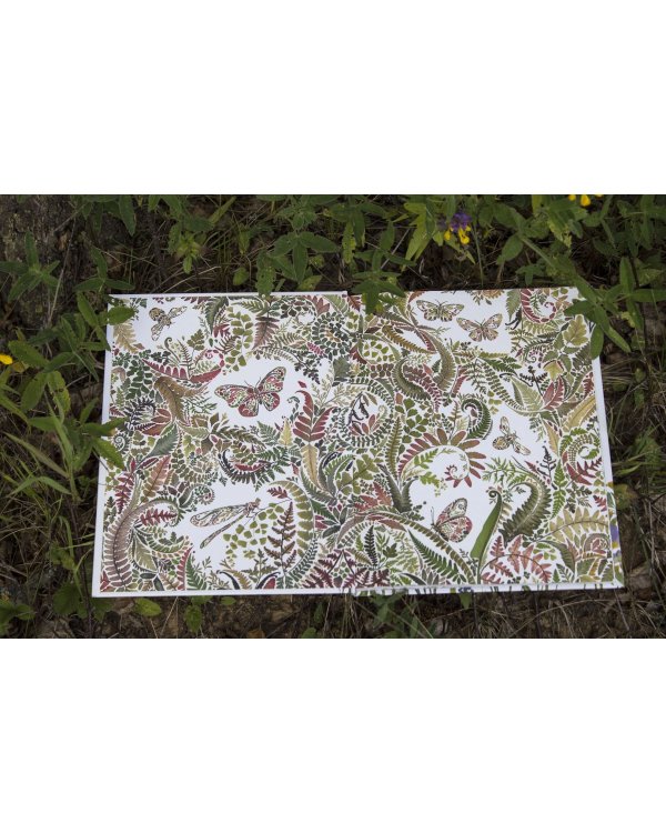 Мой гербарий. Цветы и травы