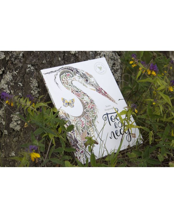 Мой гербарий. Цветы и травы