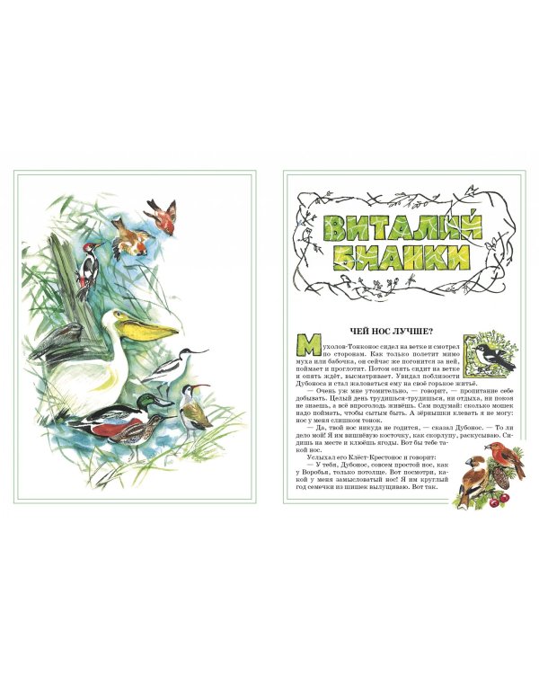 Мой гербарий. Цветы и травы